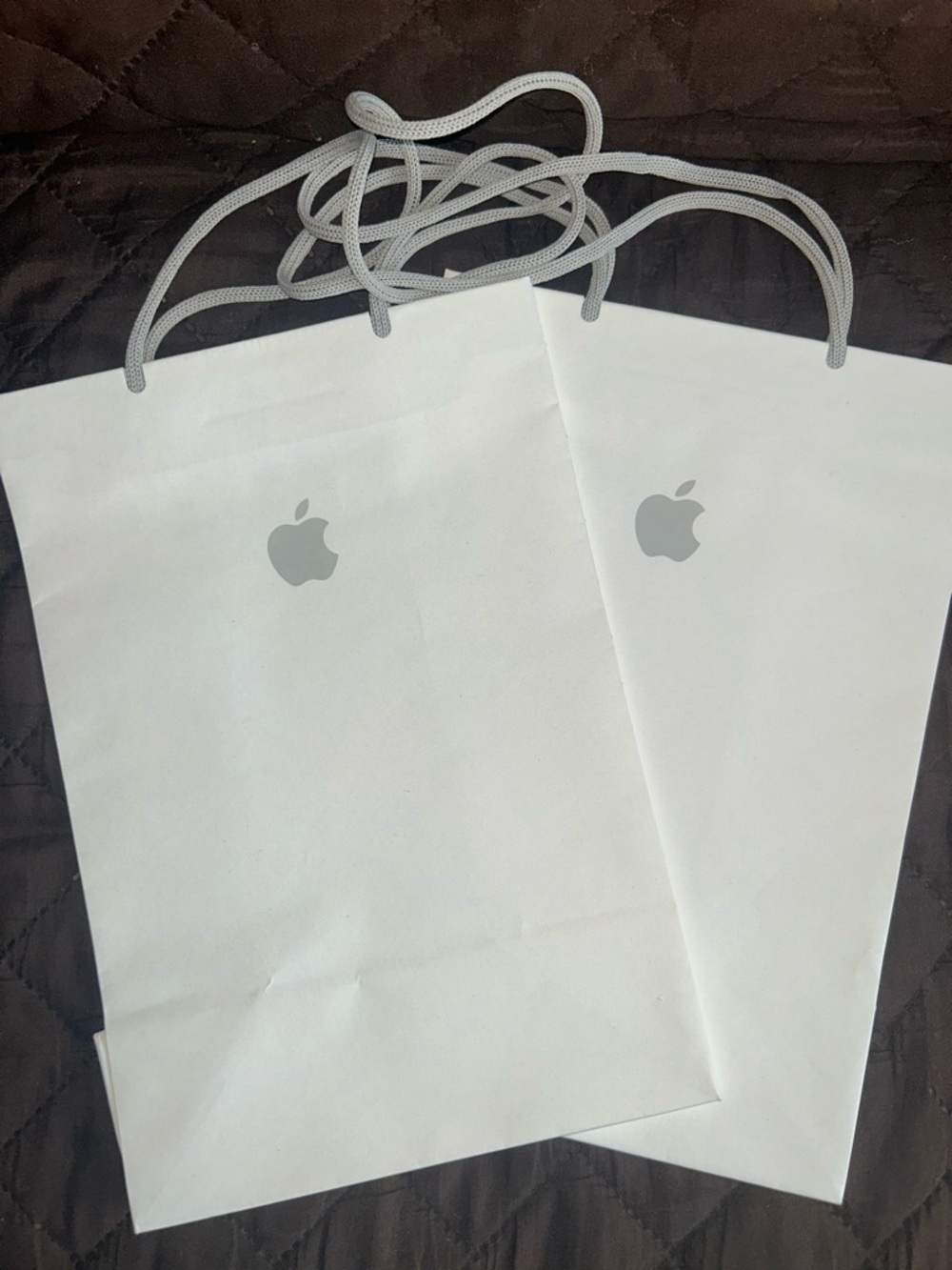 Apple White & Gray Logo Shopping Bags with Gray Rope Handles